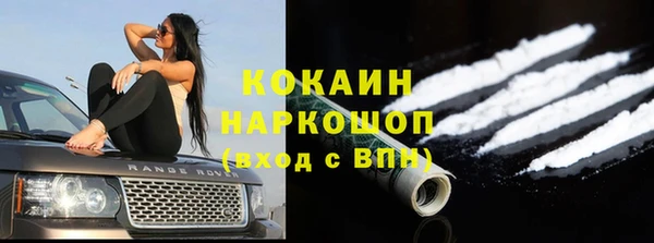 mdpv Горняк