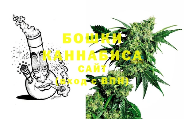 крисы Горно-Алтайск