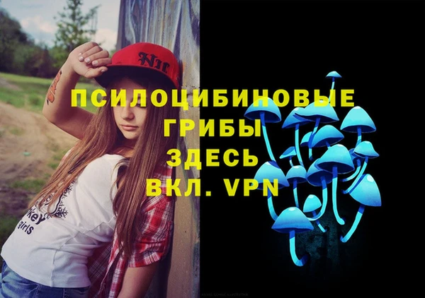 крисы Горно-Алтайск