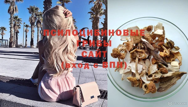 крисы Горно-Алтайск