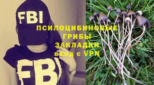 mdpv Горняк