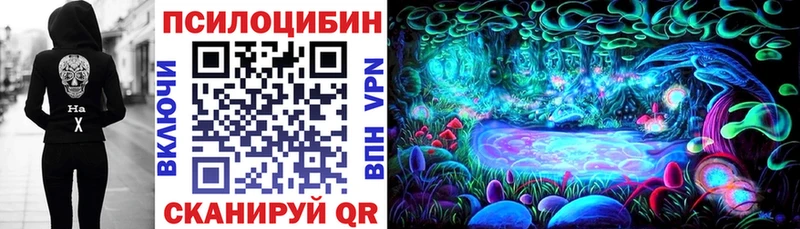 Купить  Снежногорск  Галлюциногенные грибы мицелий 